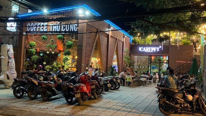 Top 14 quán cà phê mèo tại Sài Gòn cực dễ thương 1 cà phê mèo