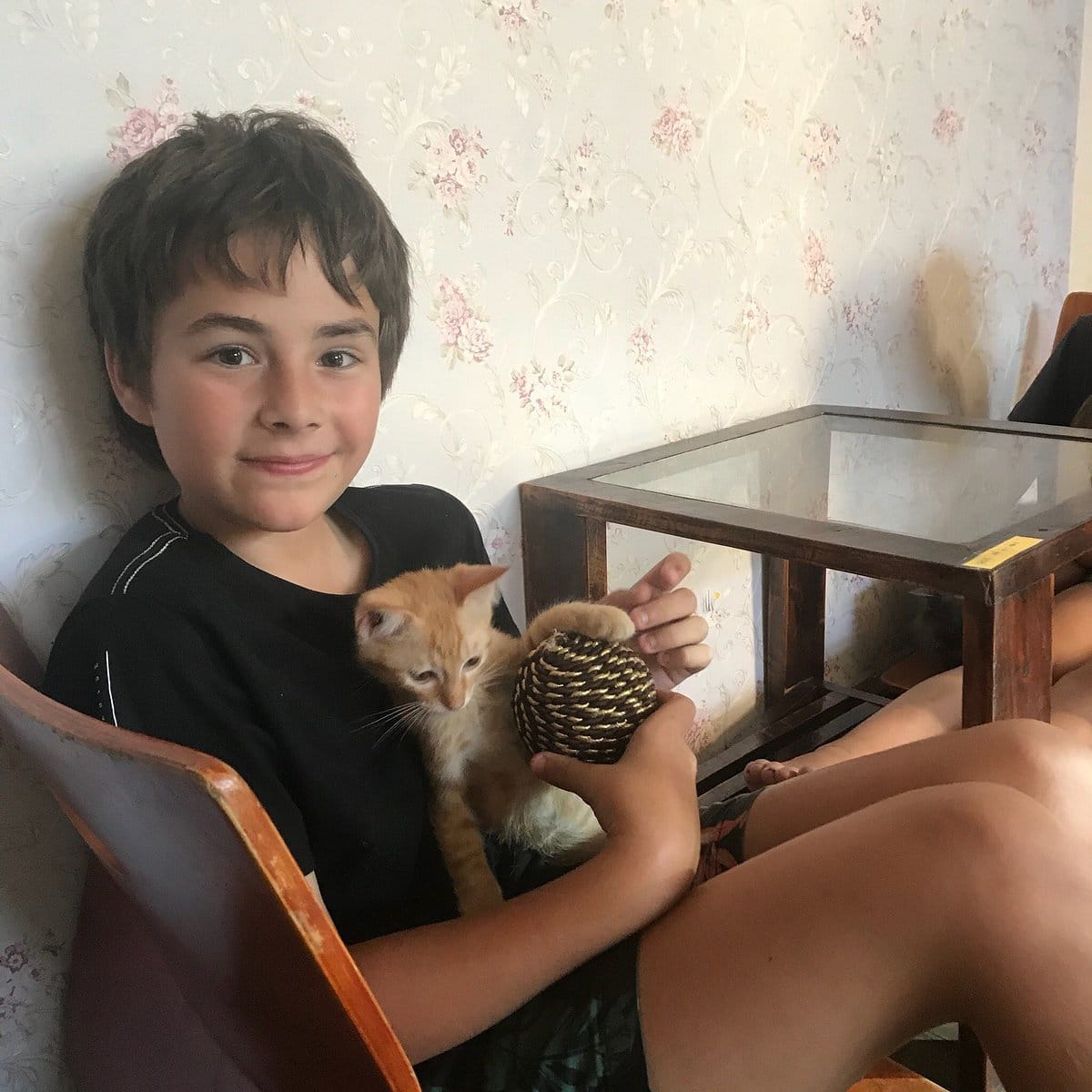 Top 14 quán cà phê mèo tại Sài Gòn cực dễ thương 8 cà phê mèo