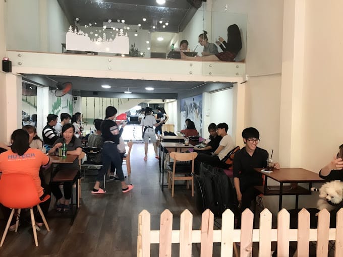 Top 14 quán cà phê mèo tại Sài Gòn cực dễ thương 14 cà phê mèo