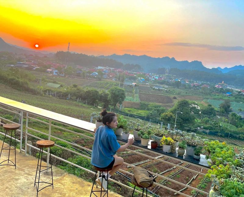 cà phê sơn la
